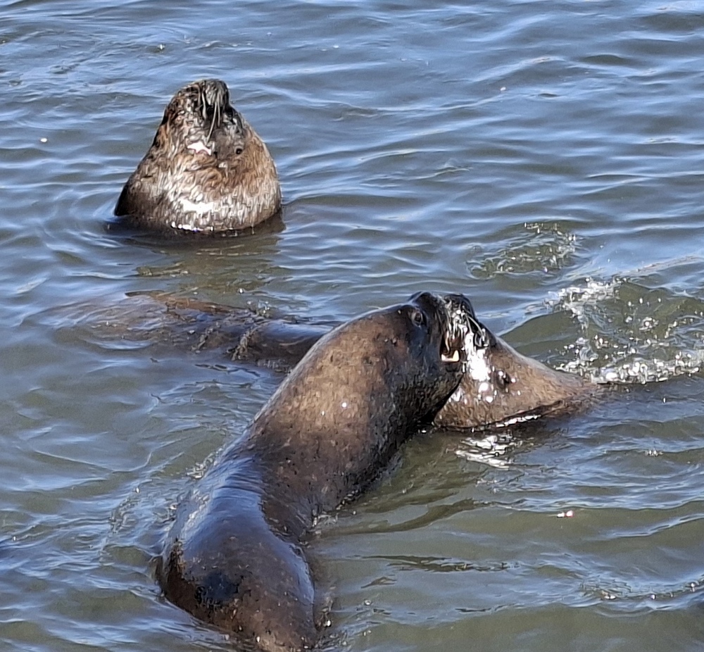2026-03-21 Iquique 20260321_105844_ji.jpg